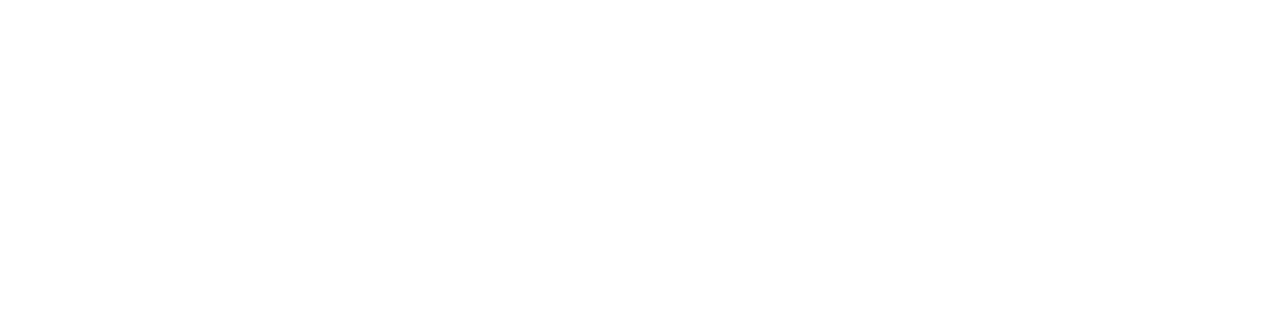 Logo der Steinweis GmbH - Innenausbau für anspruchsvollste Projekte